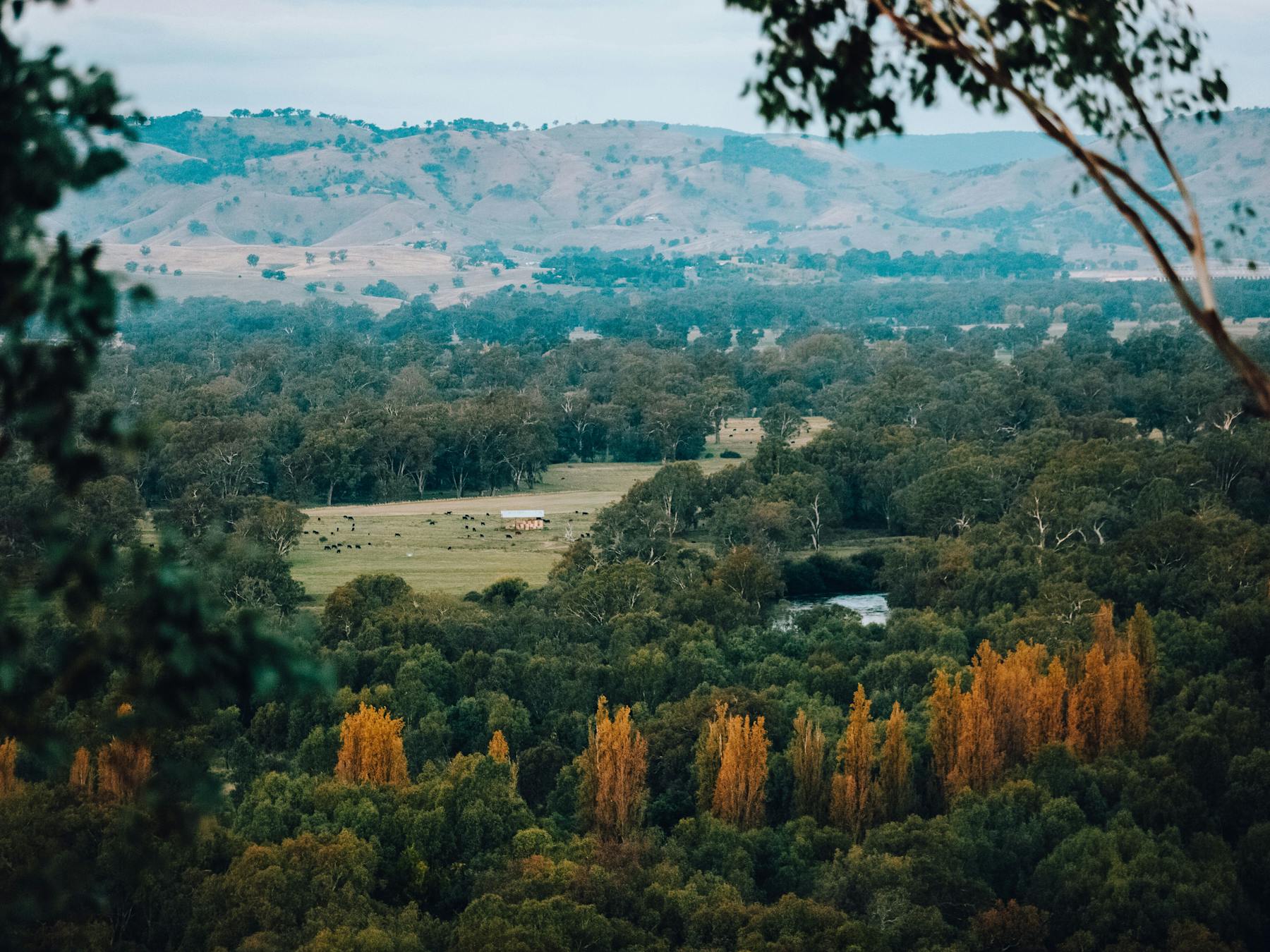 View towards Lake Hume from Eastern Hill