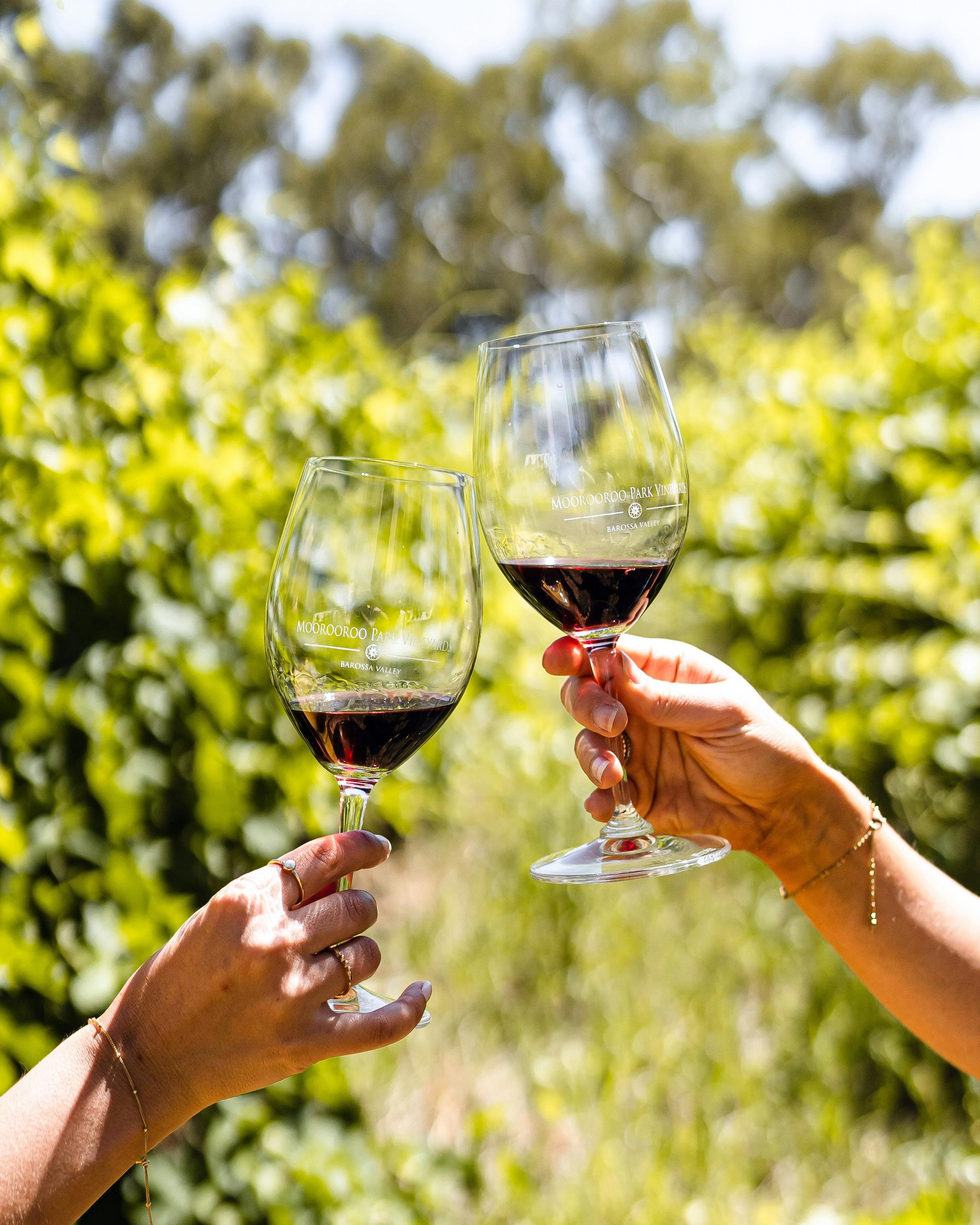 Wine in glass in the vineyard