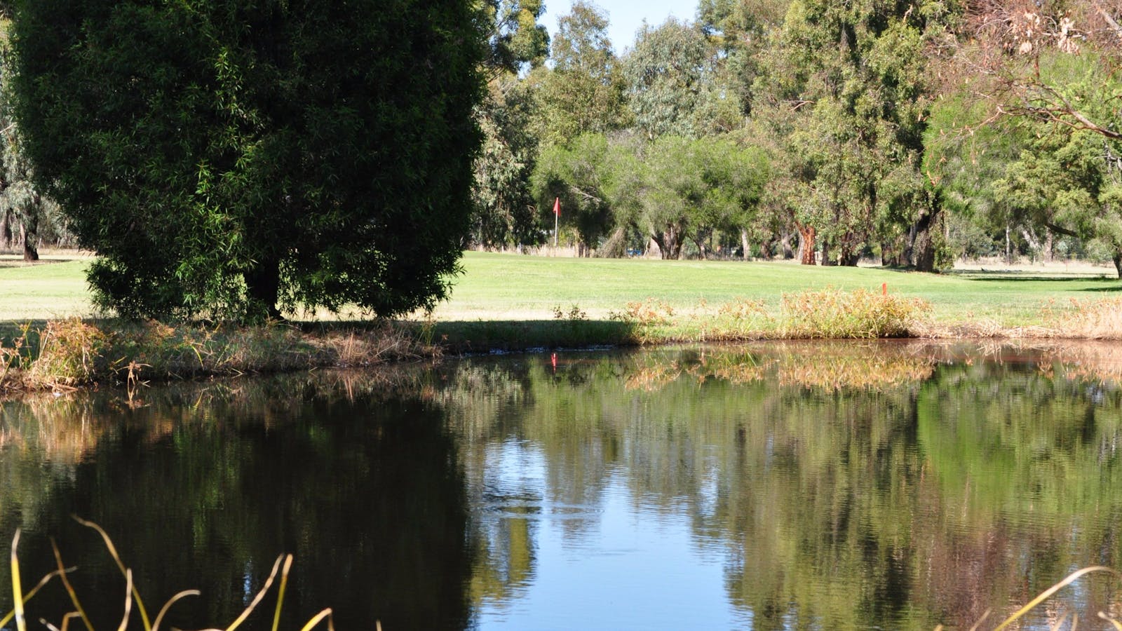 Numurkah Golf and Bowls Club