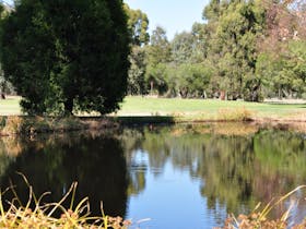 Water at Numurkah Golf and Bowls