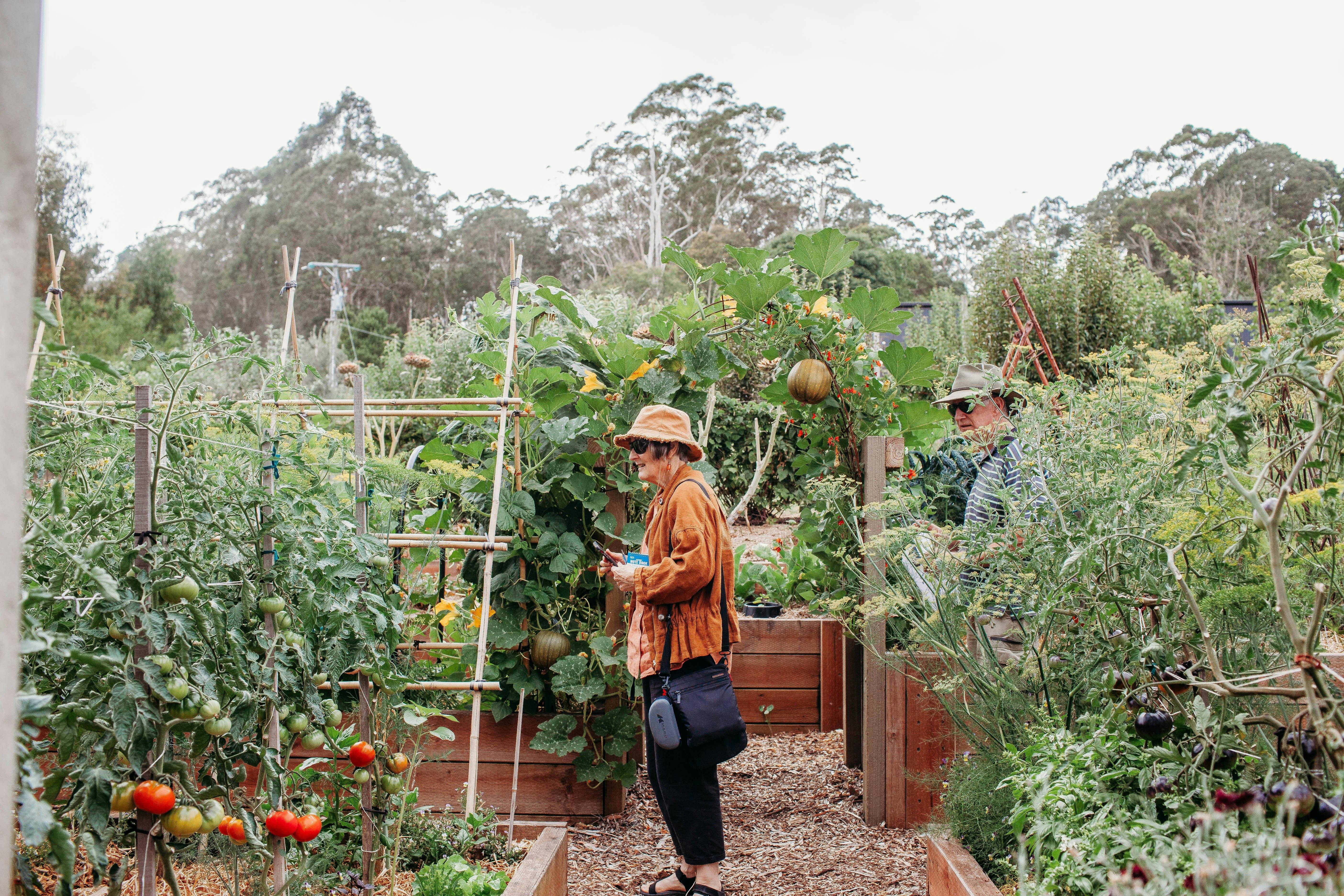 A woman in a brown jacket with a hat and sunglasses is exploring the bean structure at a garden.