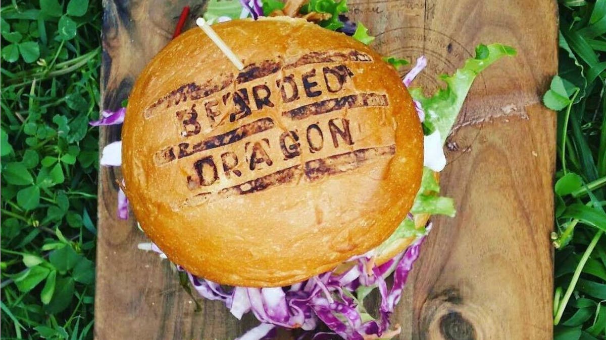 The Burgers Are Better at Bearded Dragon!