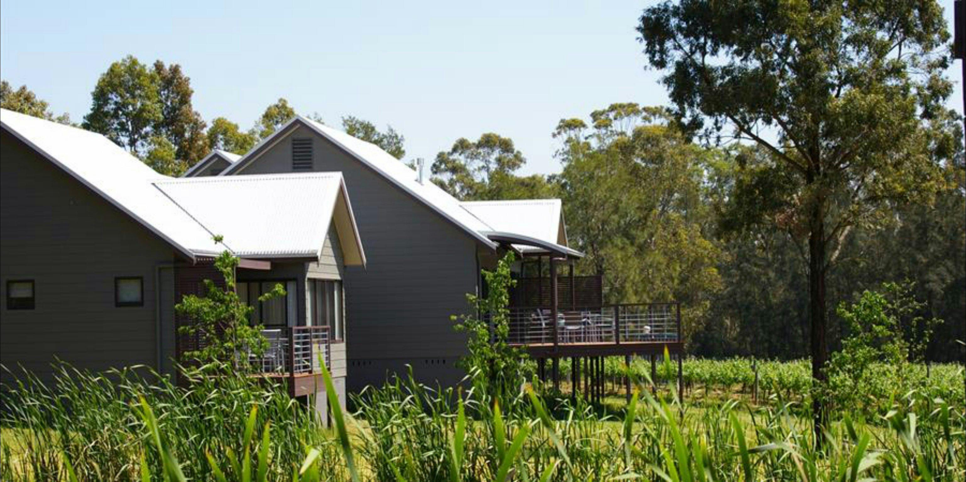 Vineyard Studio or Premier Studio