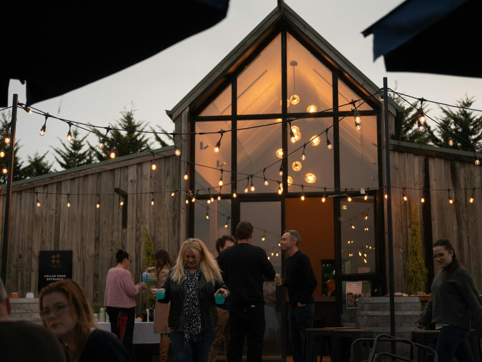 Tokar Estate Cinema In The Vines