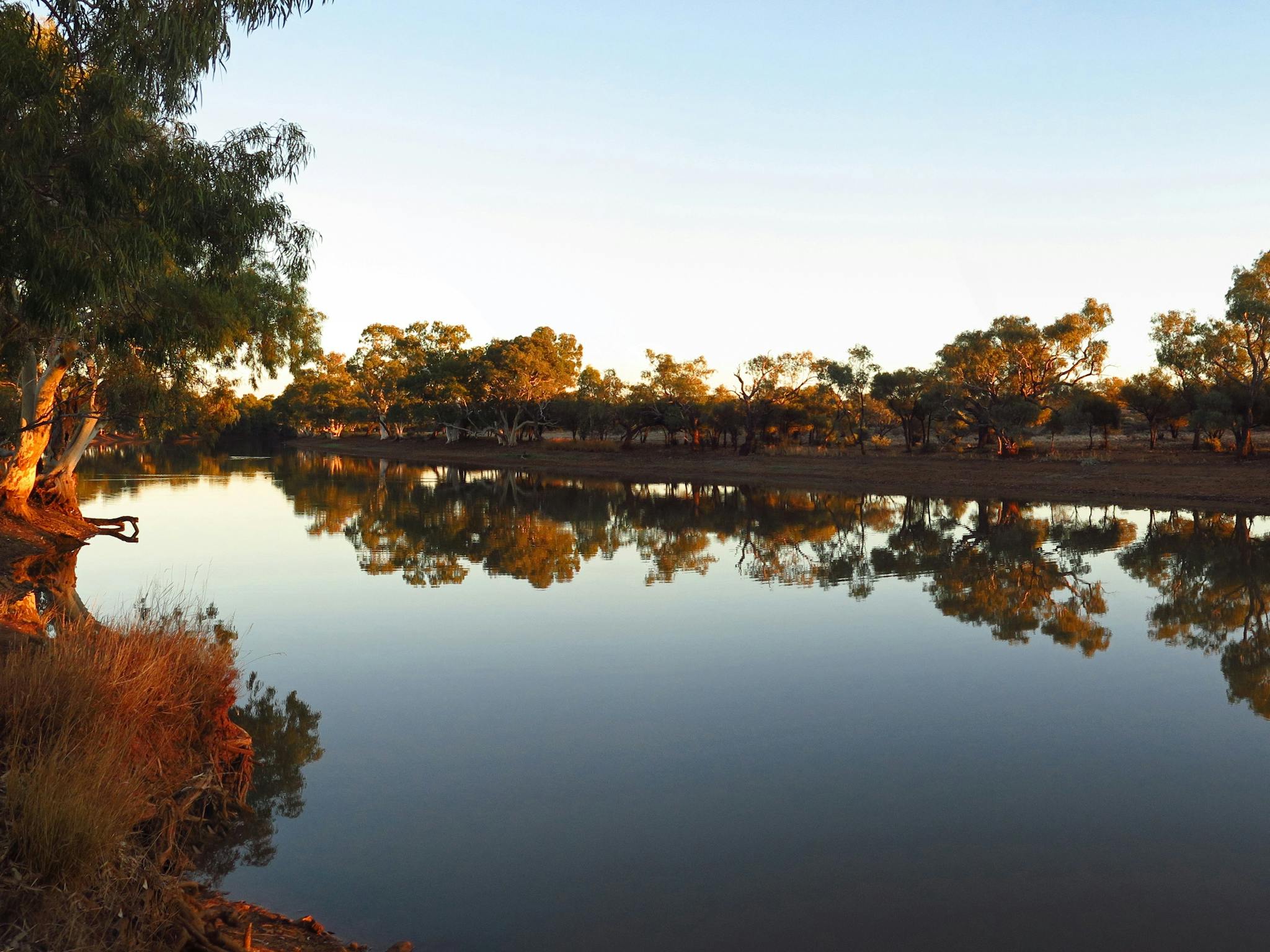 Eringa Waterhole