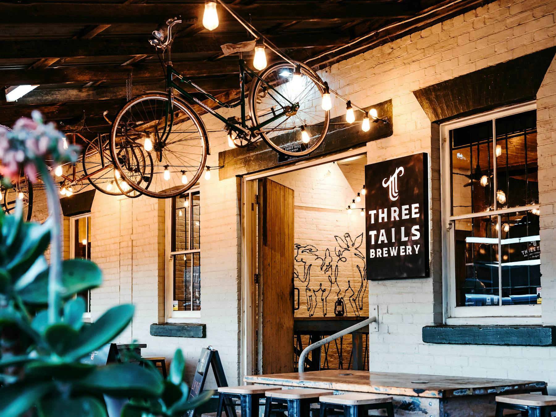 Photo of front door with bicycle hanging from roof