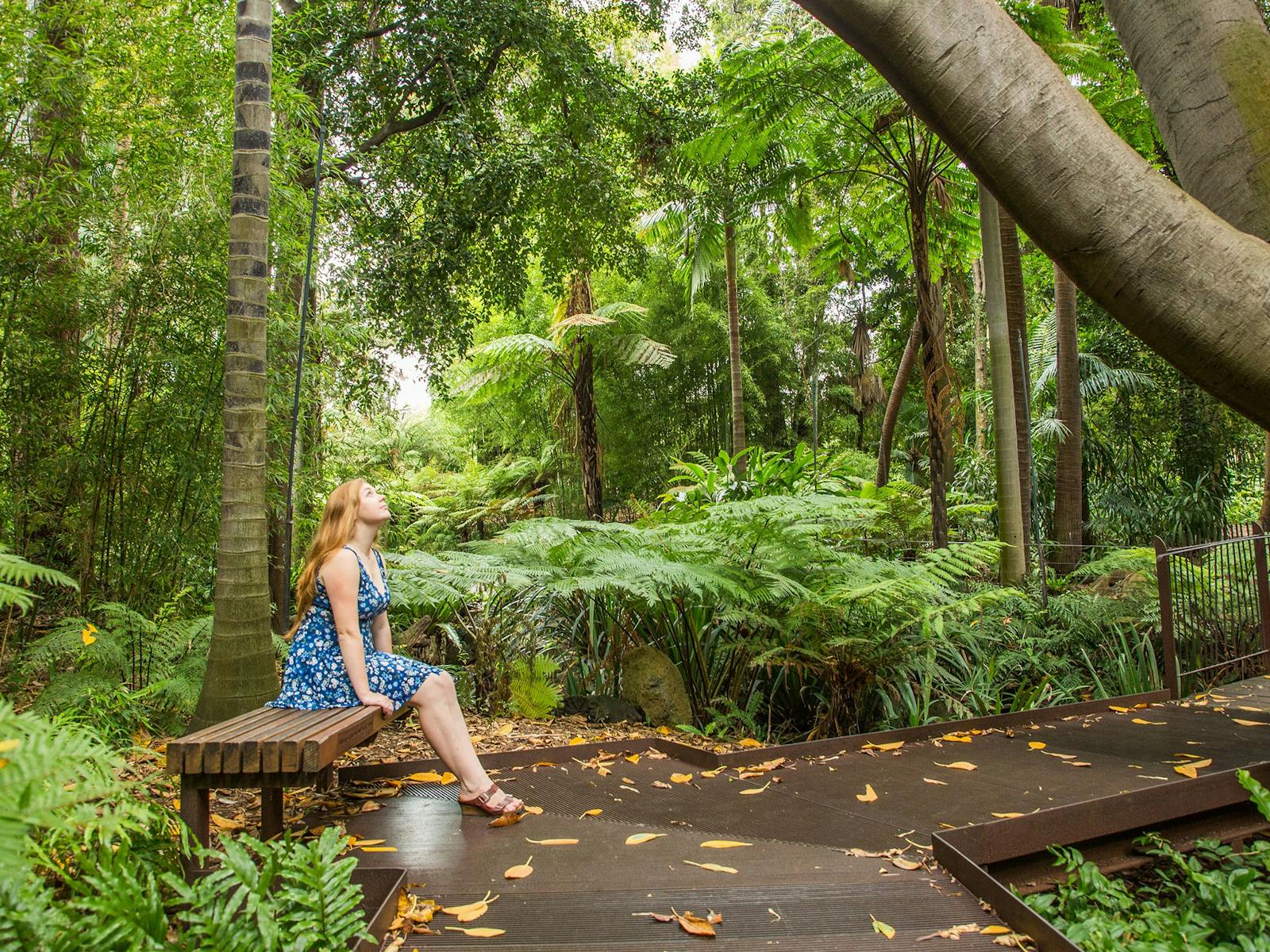 Image for Forest Therapy at Royal Botanic Gardens Melbourne
