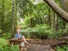 Forest Therapy at Melbourne Gardens
