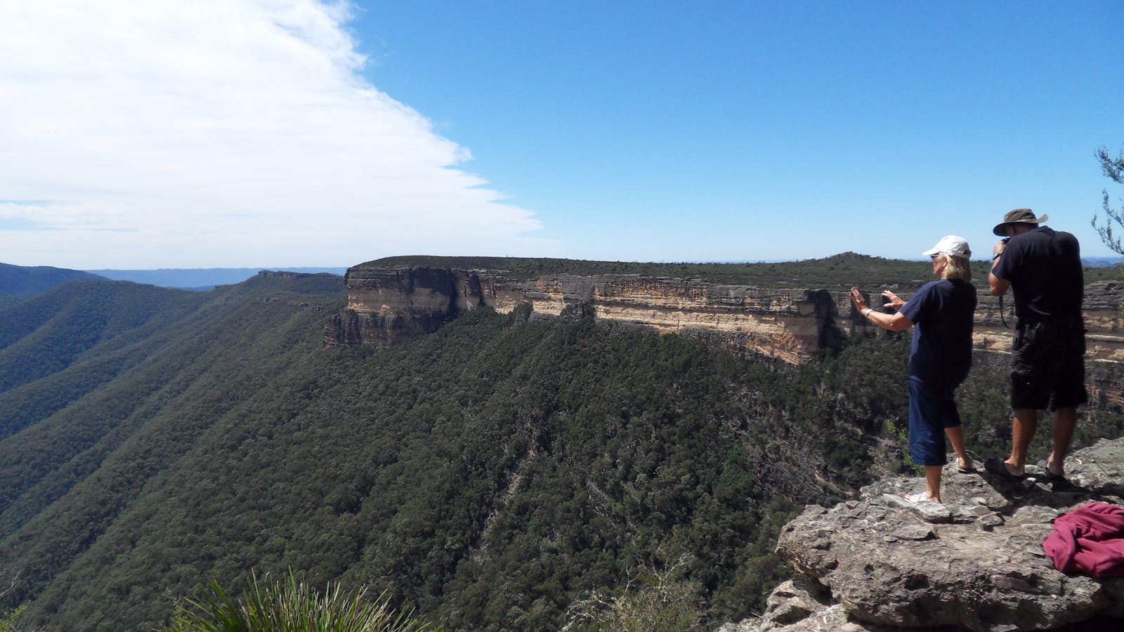 Simmo's Country NSW Safari