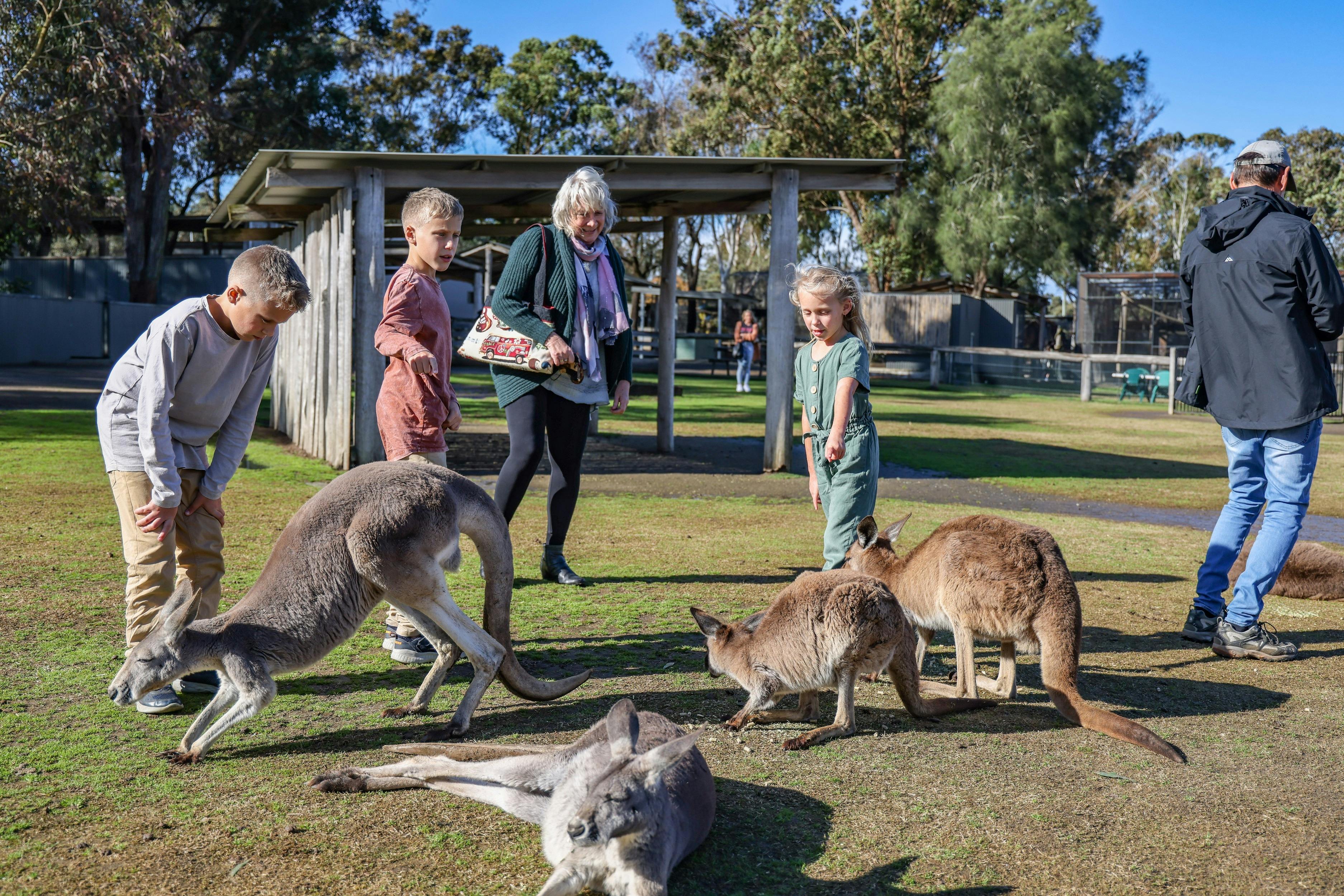 Hunter Valley Wildlife Park