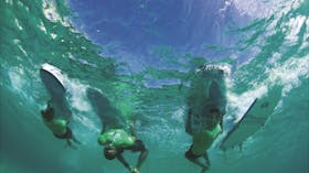 Lets Go Surfing Bondi Surf School