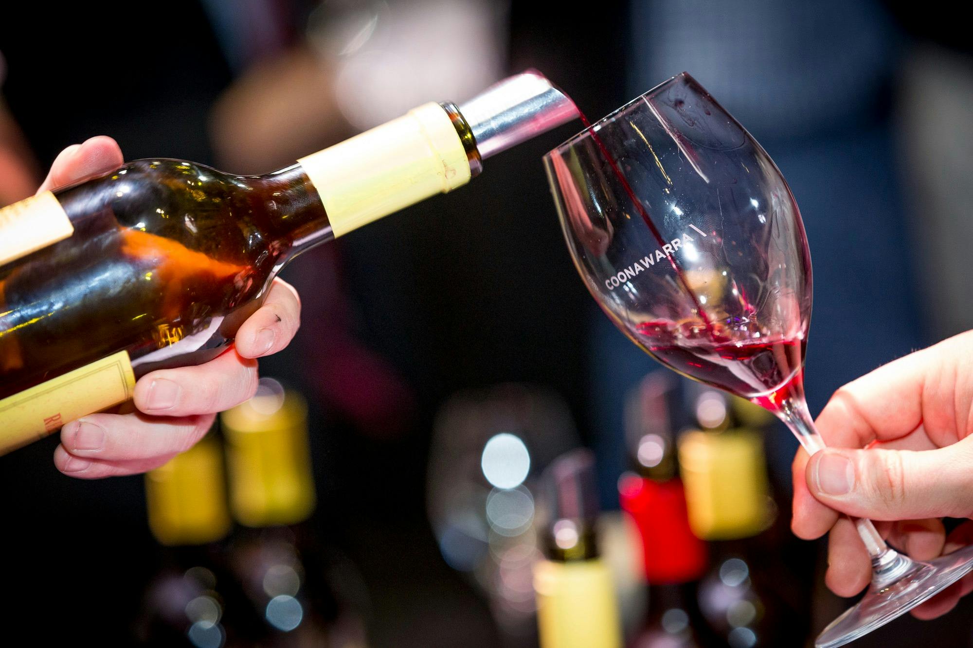 Coonawarra Wine Tasting Showcase in Hamilton