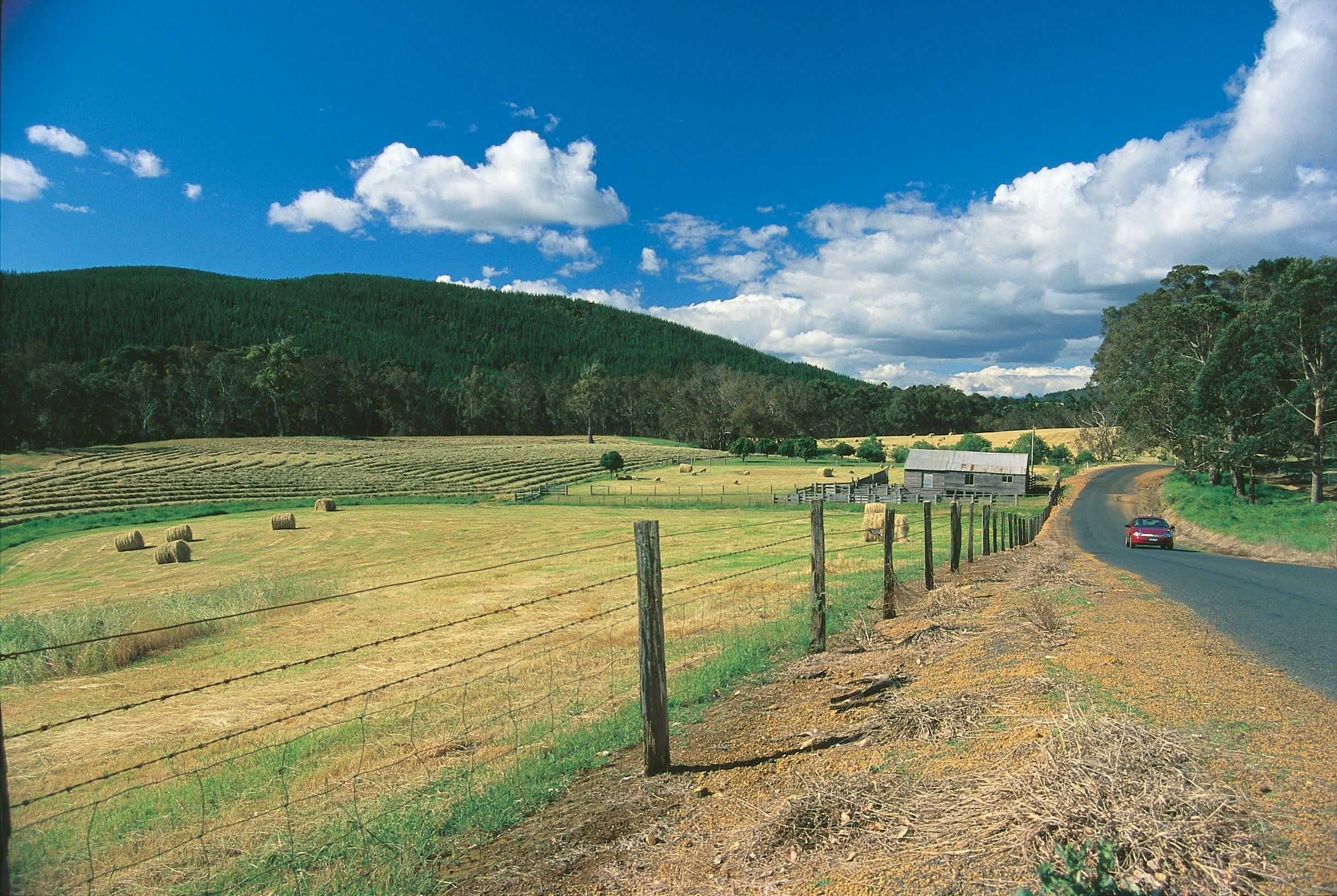 Touring on the Nannup to Balingup Road, Balingup, Western Australiad