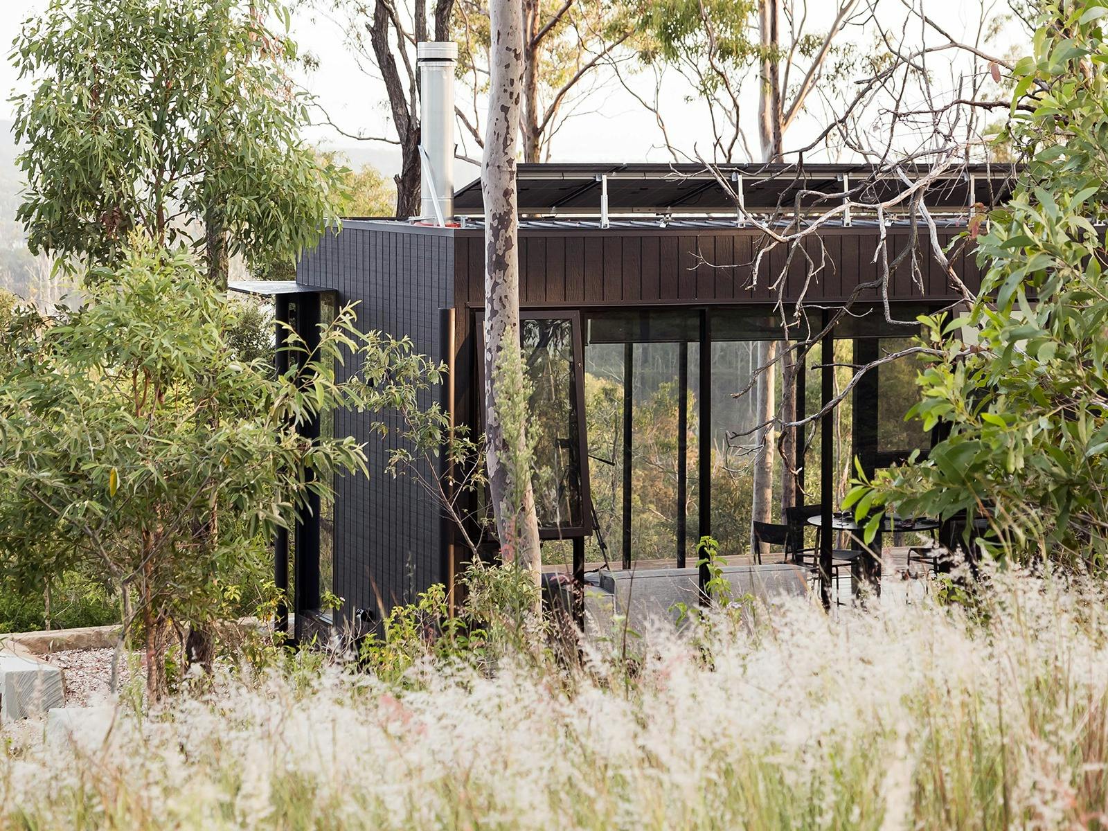 Wander at The Overflow 1895