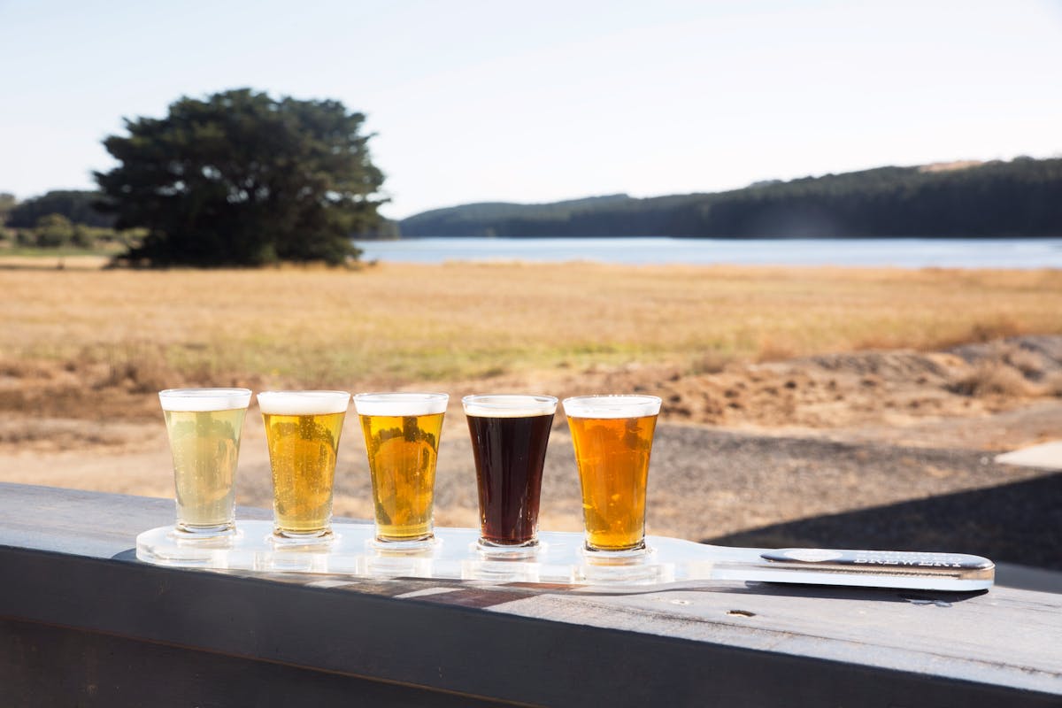 Tasting Paddle overlooking Myponga Reservoir