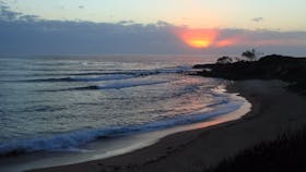Angourie Beach