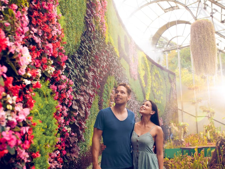 Couple enjoying a walk through The Calyx in The Royal Botanic Garden Sydney