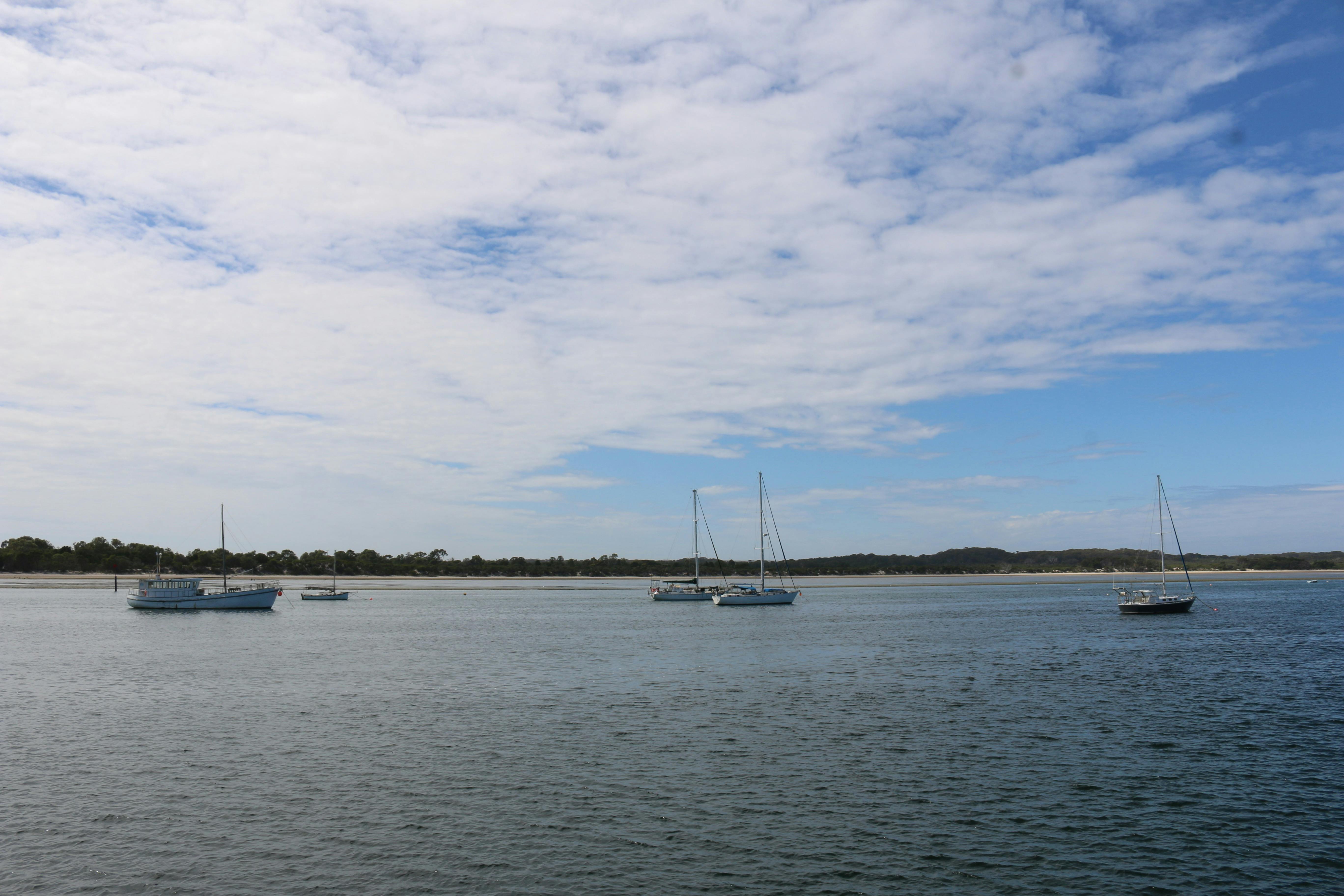 Yachts moored in the sheltered waters of American River