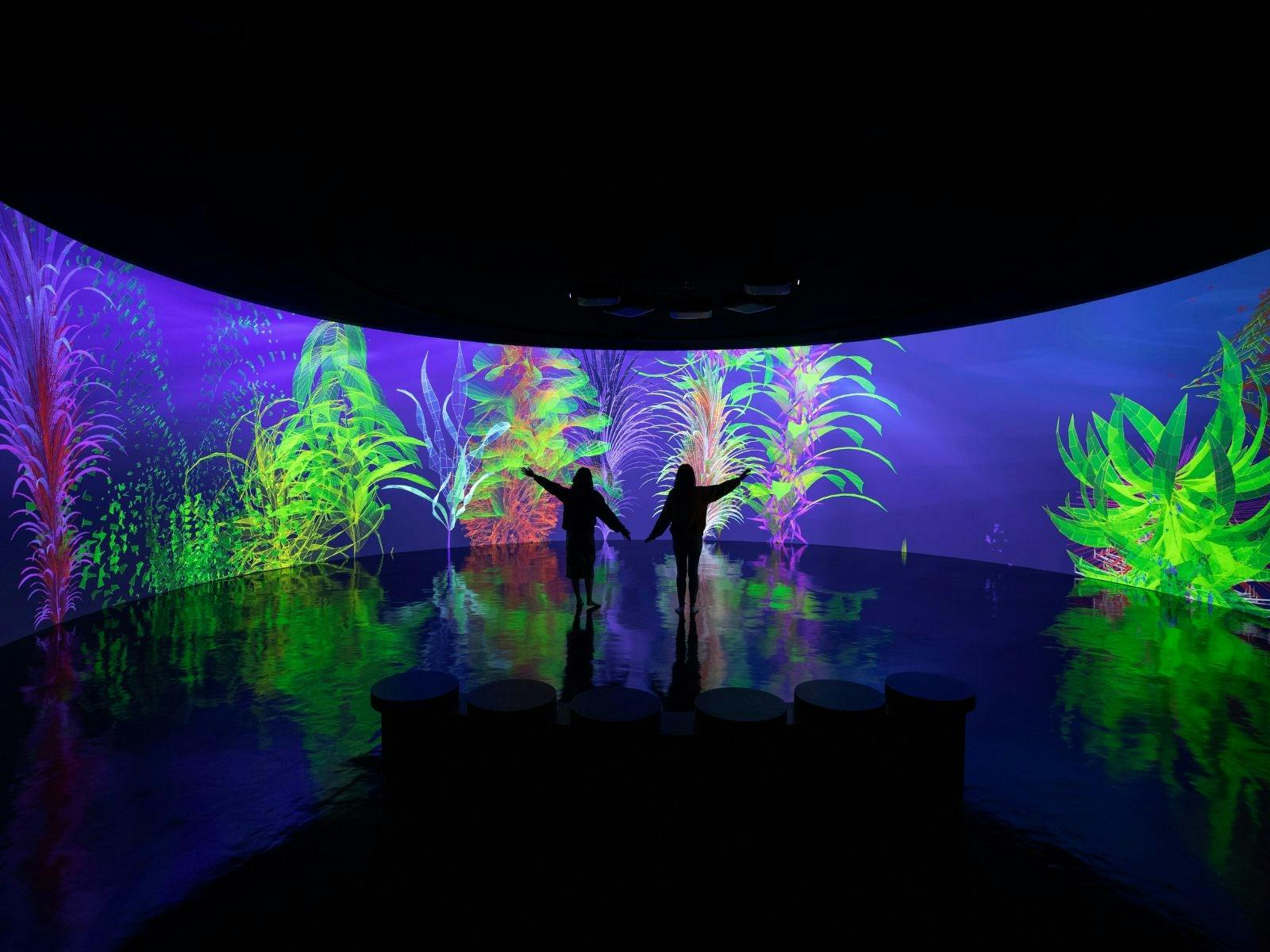 Digital Abyss