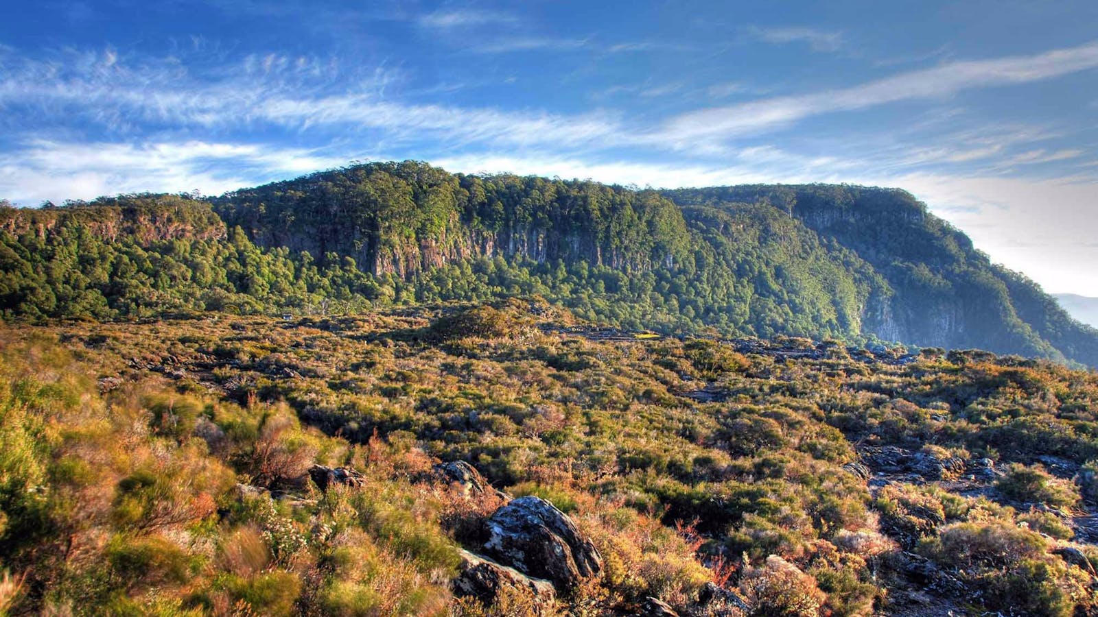 Wrights Lookout Walking Track