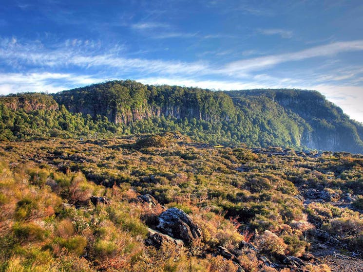 Point lookout from Wrights lookout, New England National Park. Photo: S Ruming/NSW Government