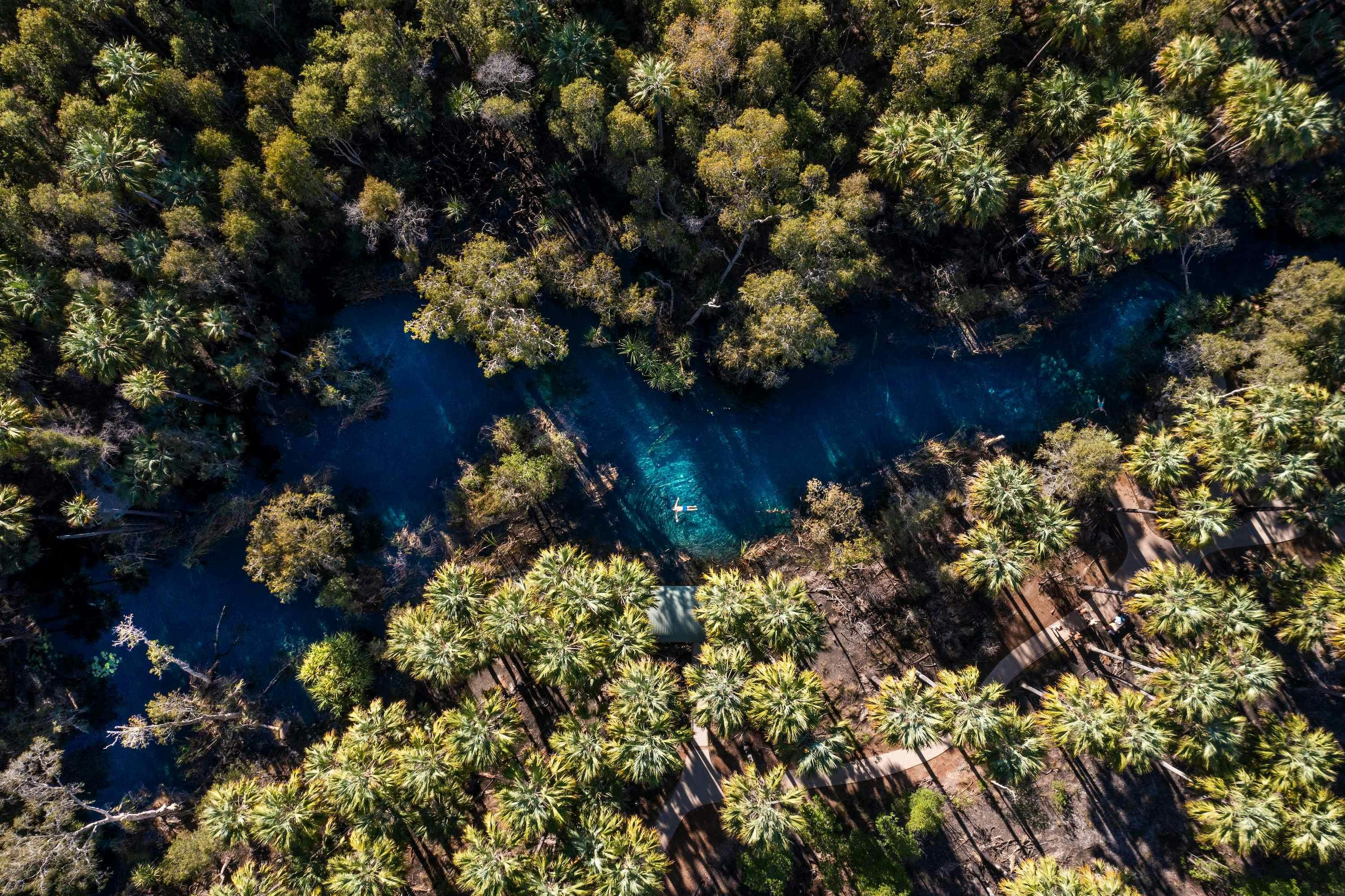 Aerial view of a person swimming in Bitter Springs