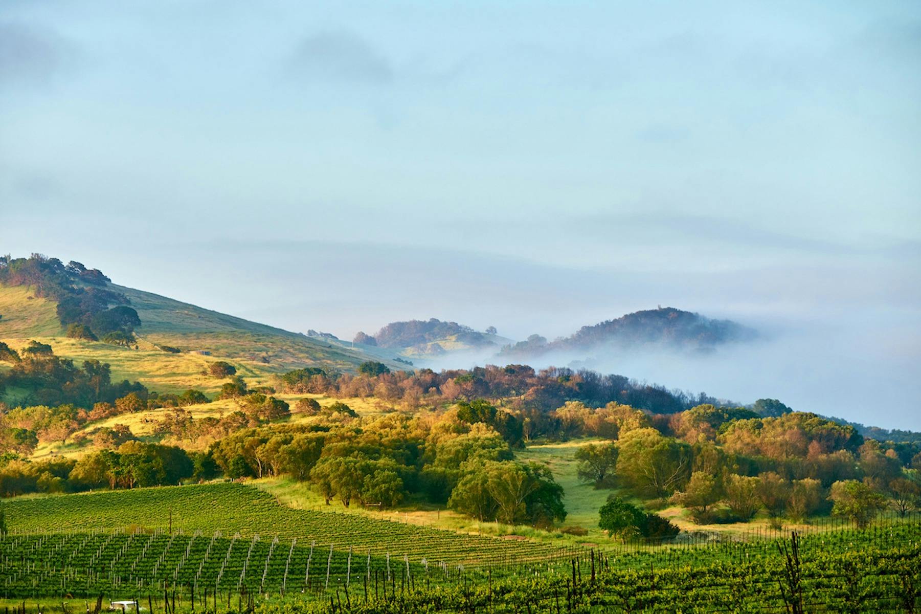 Heysen Trail – Tanunda to Kapunda - 2 day walk