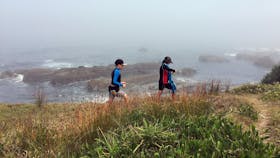 Brooms Head Back Beach