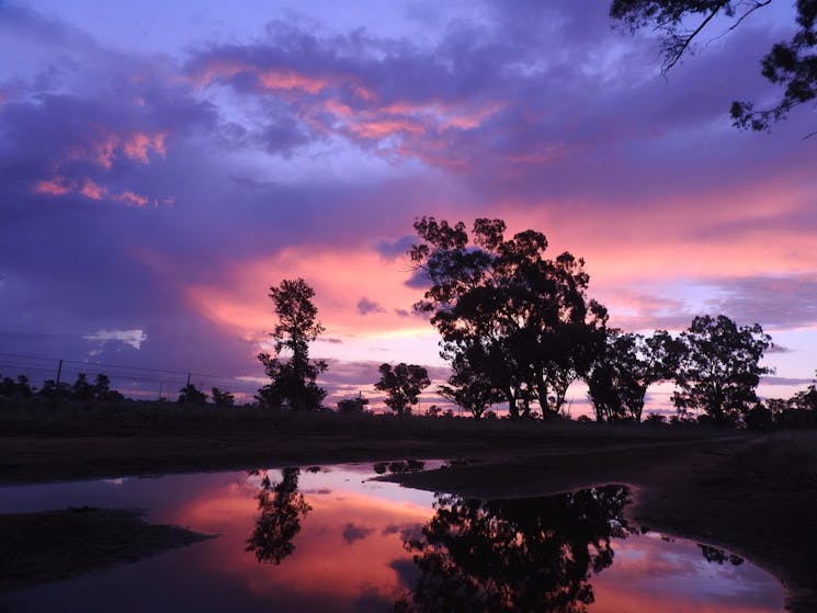 Sunset on the farm