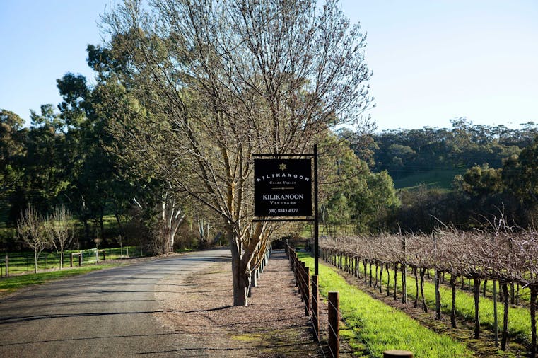 Clare Valley Wine Tour Riesling Trail