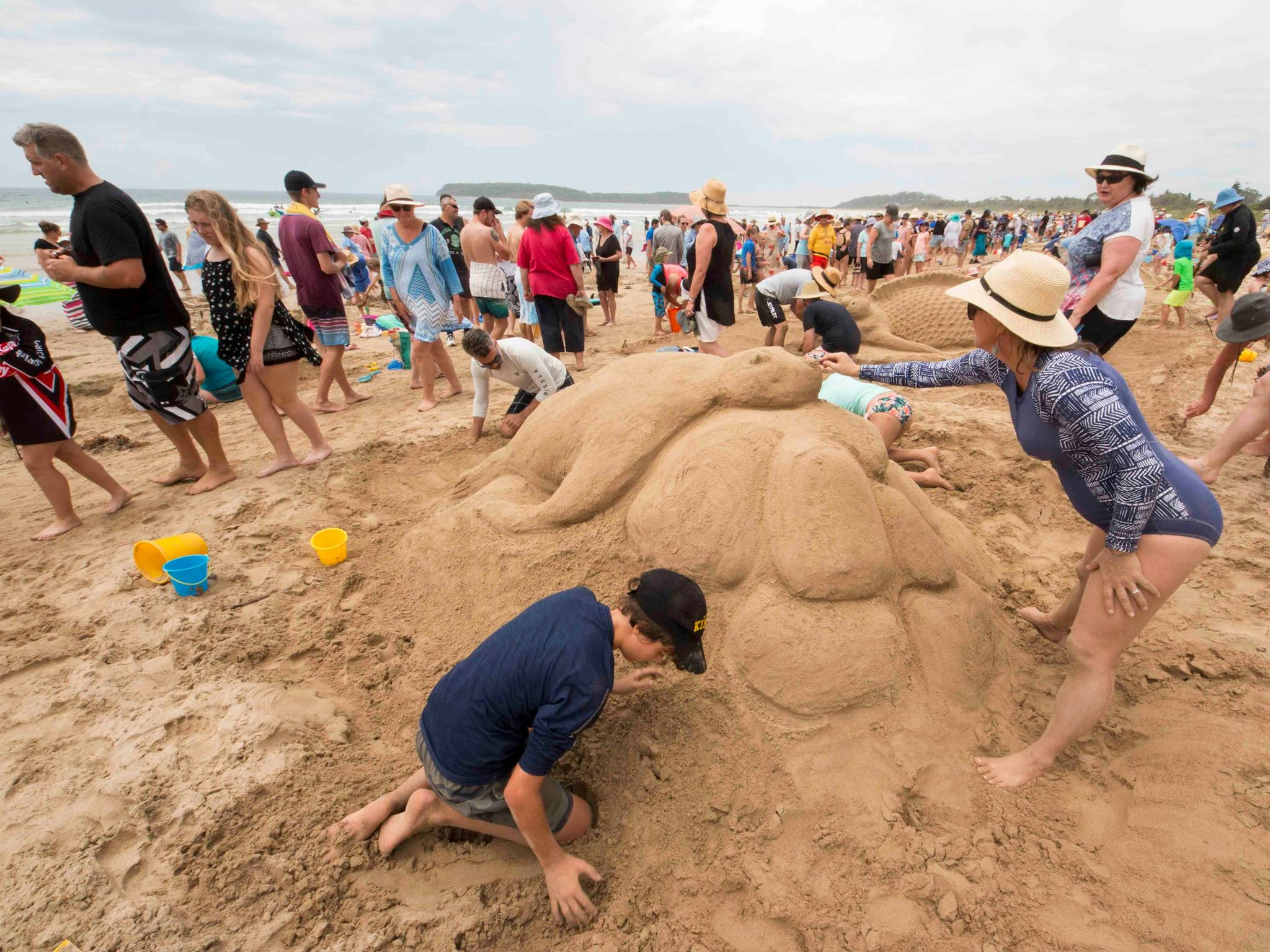 Lazy Seal sand sculpture being built