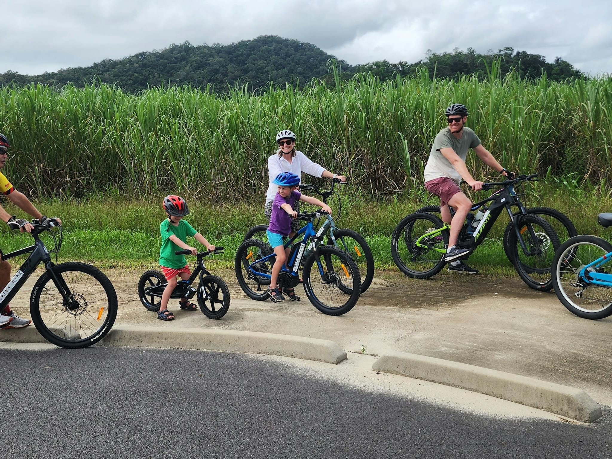 Through the canefields Through the canefields