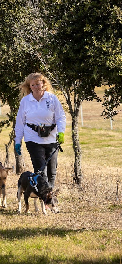 L'Air du Wombat Truffles