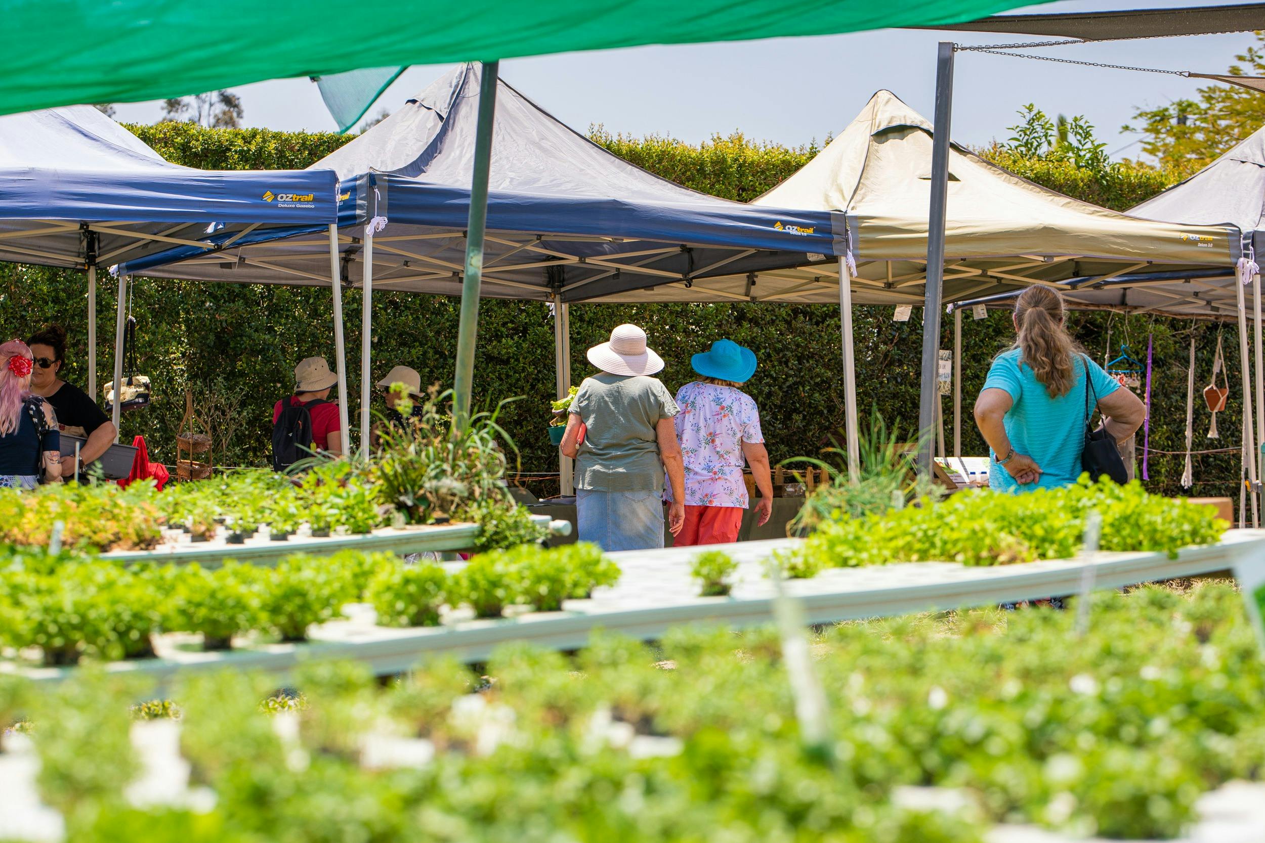 Basilea  Farm Open Day