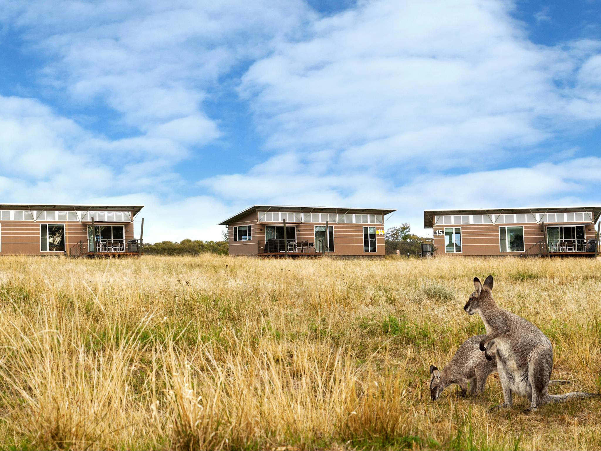 Savannah Cabins