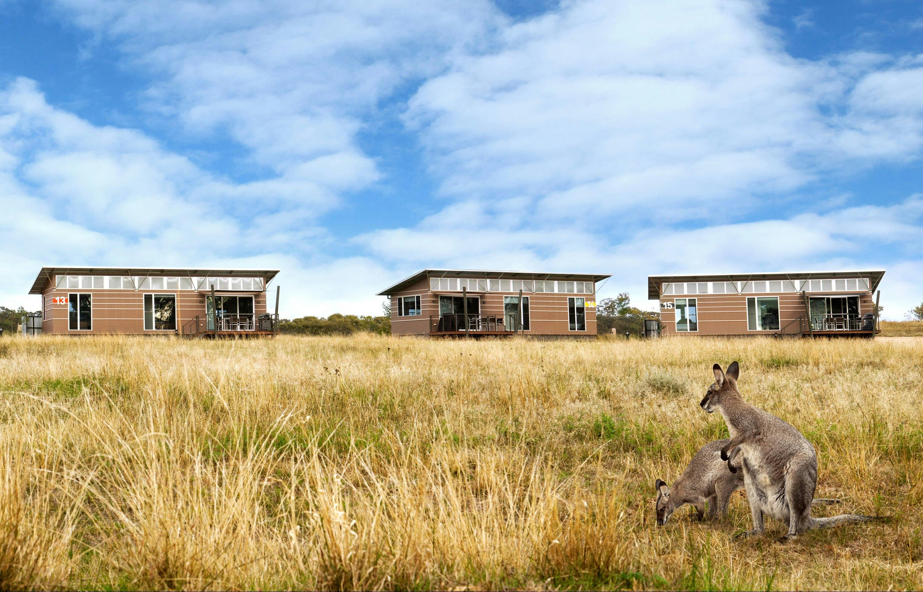 Savannah Cabins, Taronga Western Plains Zoo | NSW Holidays