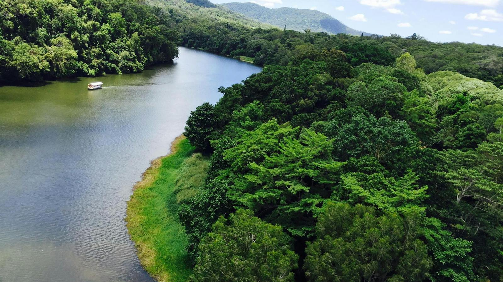 View of the Kuranda Riverboat from Skyrail Rainforest Cableway