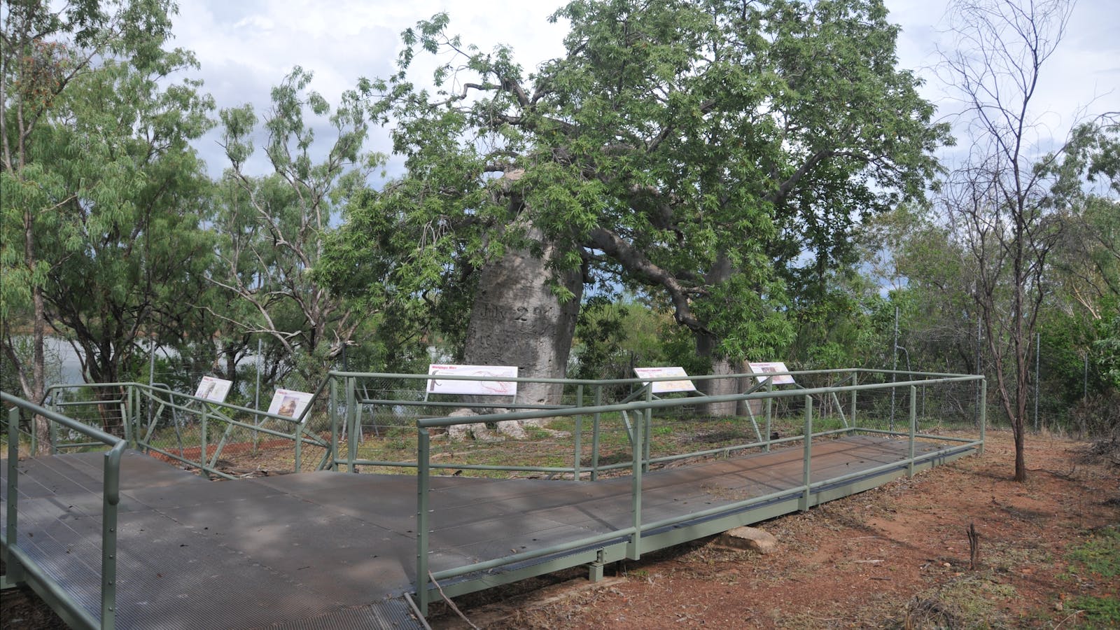 Gregory’s Tree, Timber Creek