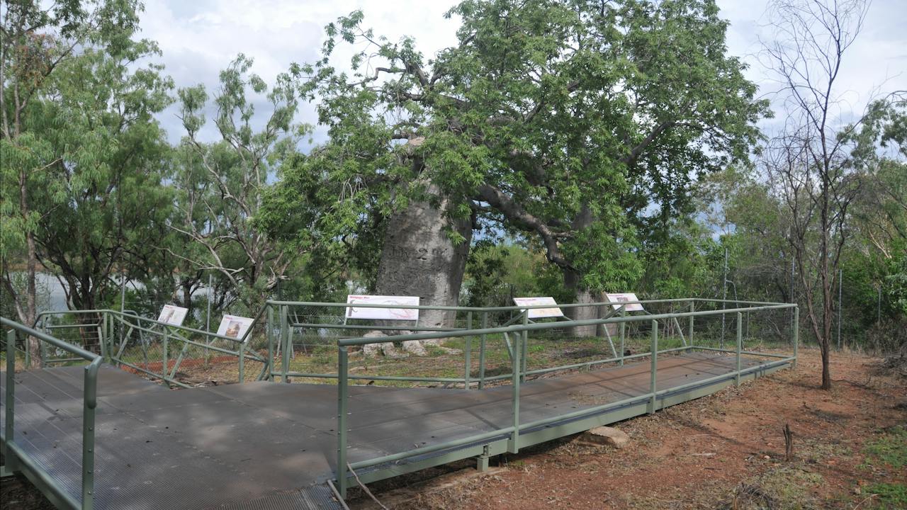 Gregory’s Boab Tree and boardwalk