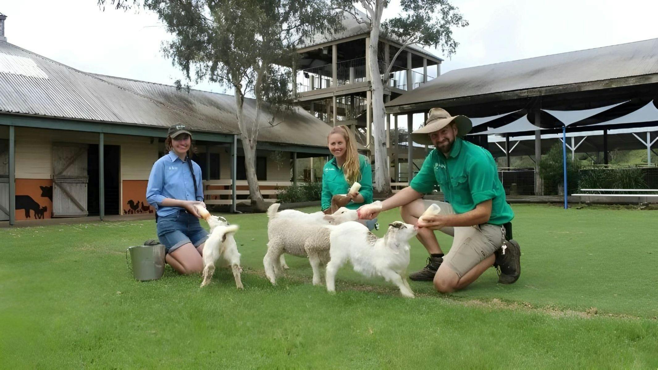 Calmsley Hill City Farm