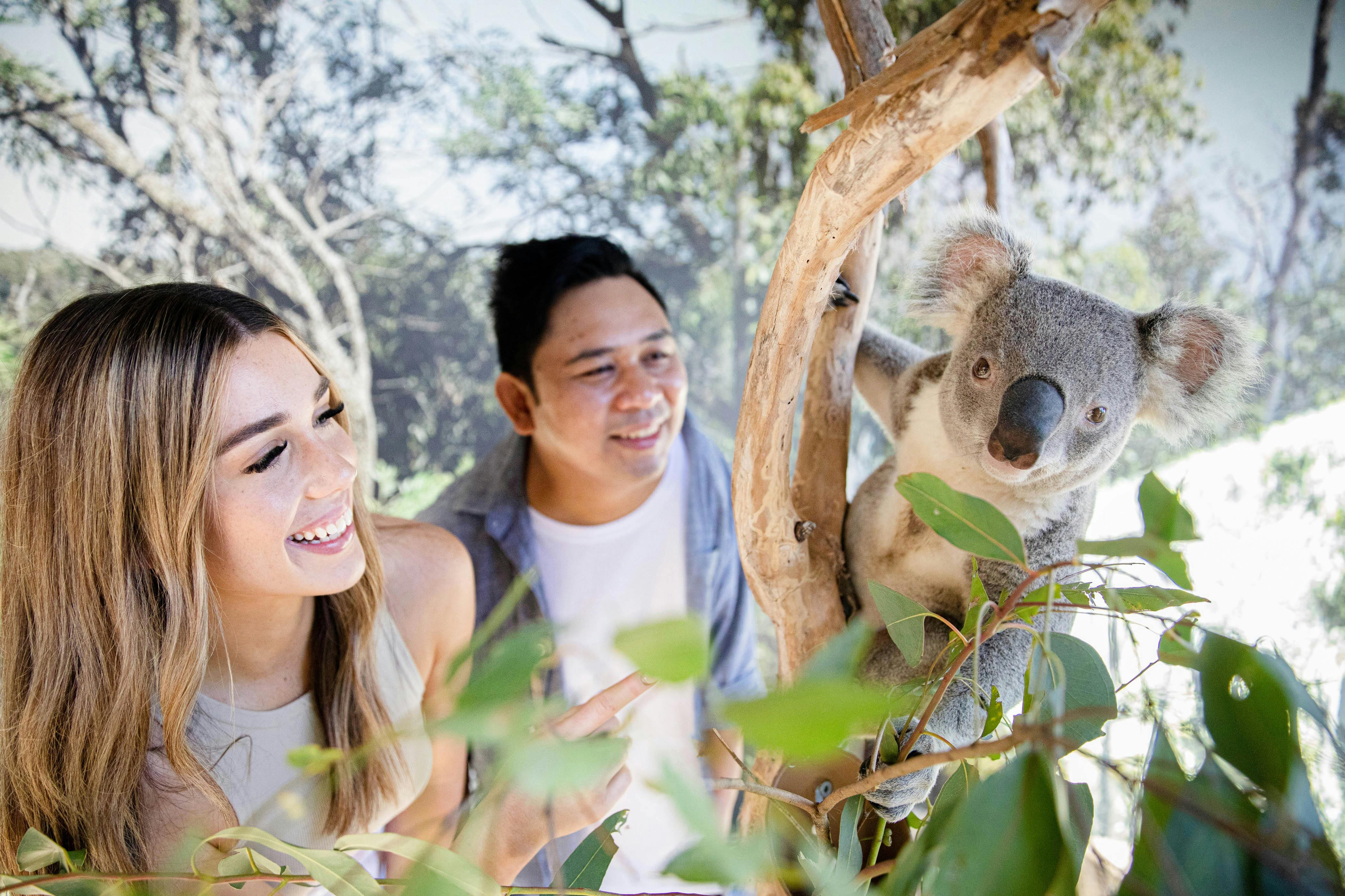 Get your FREE digital photo of you up close to a Koala