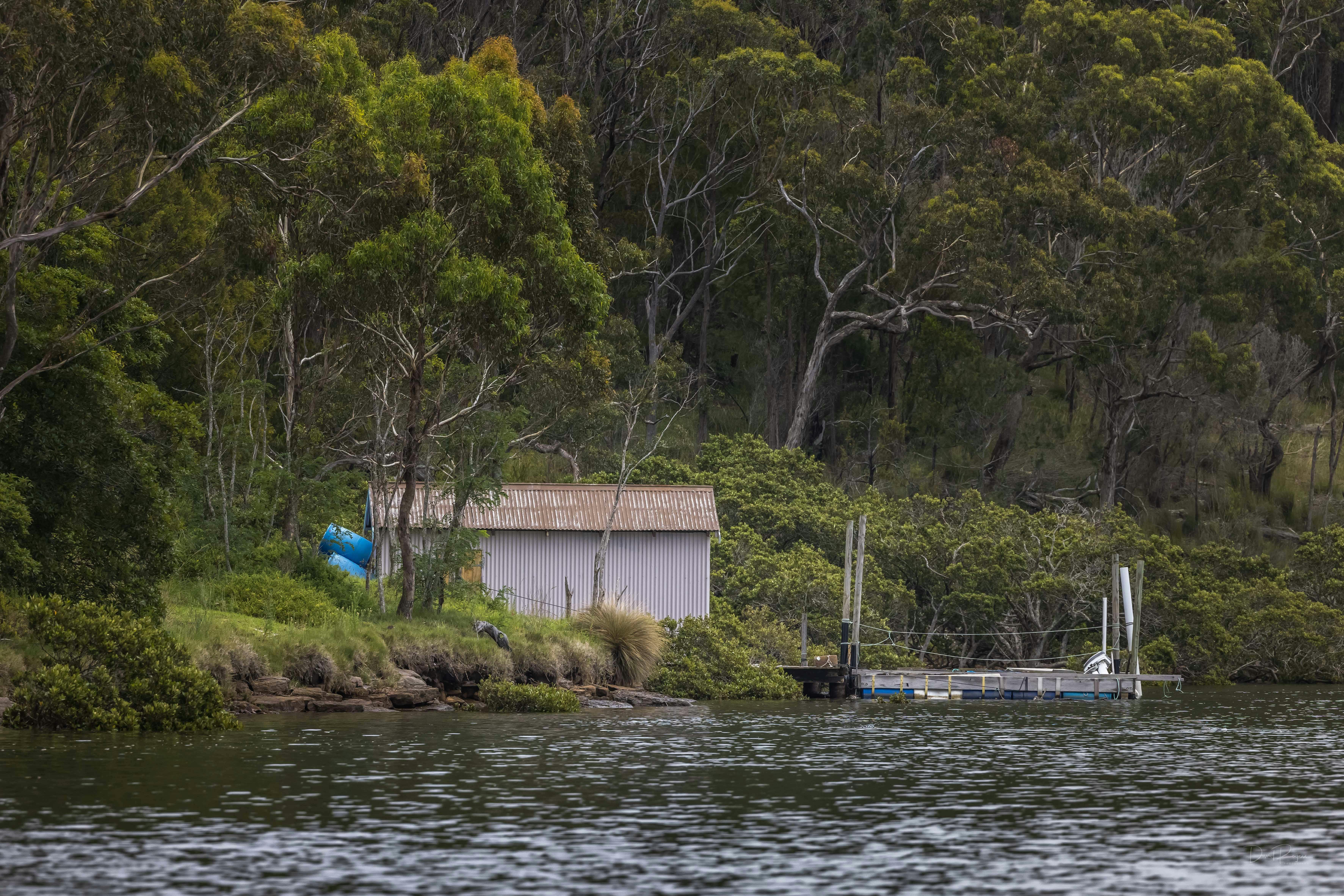 Captain Sponges Magical Oyster Tours, Pambula, Merimbula, Sapphire Coast, oyster tour, oysters