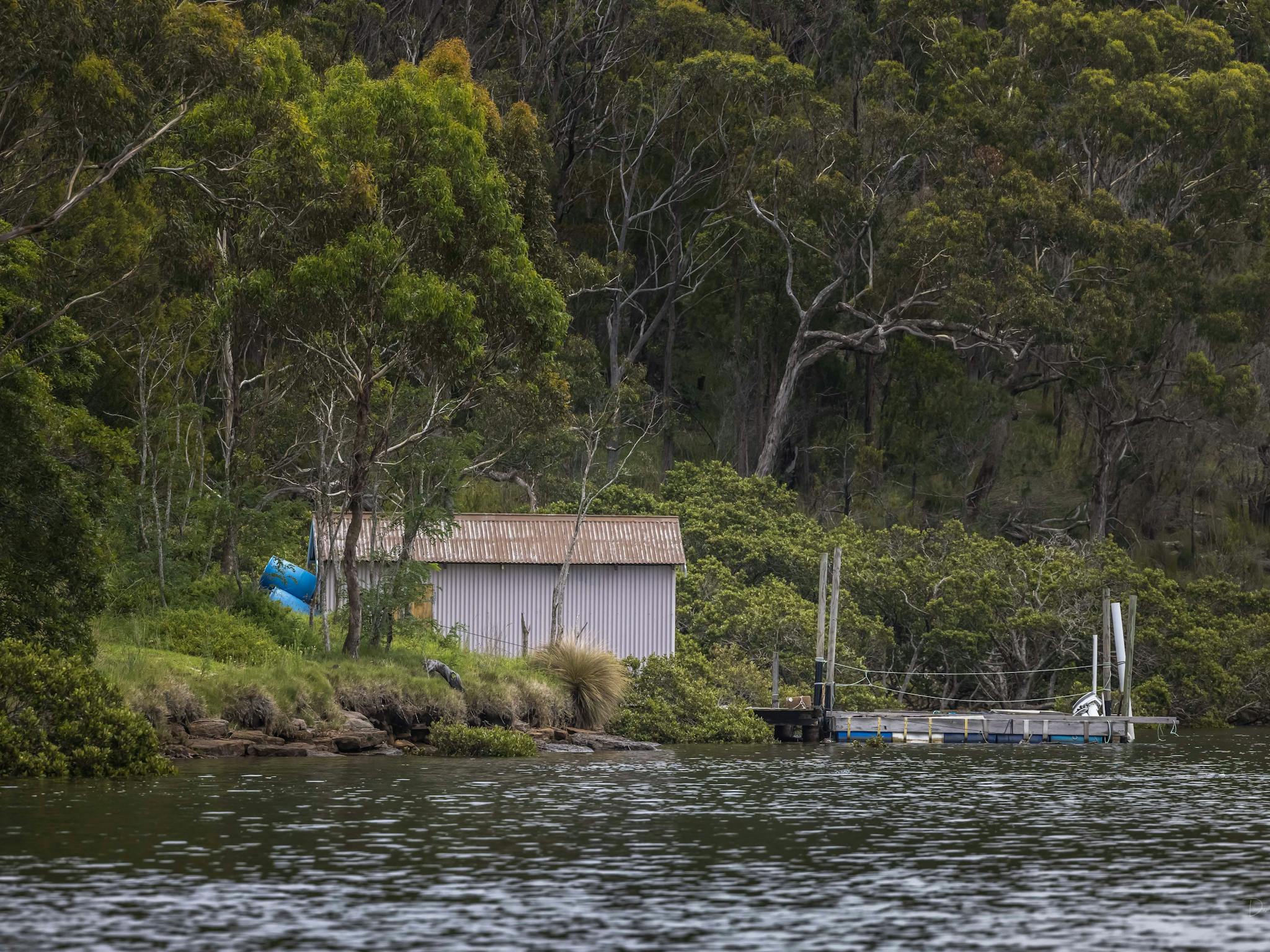 Captain Sponges Magical Oyster Tours, Pambula, Merimbula, Sapphire Coast, oyster tour, oysters
