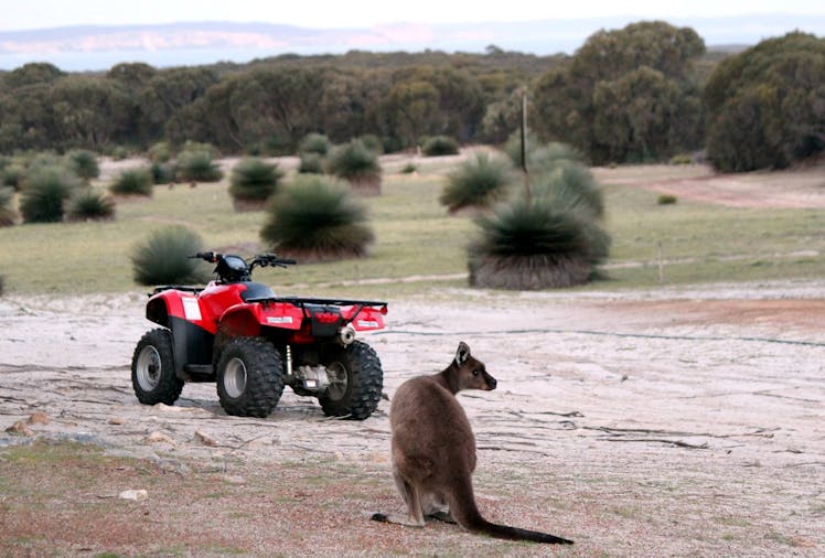 Quad Bike Discovery Tour
