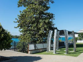 Close up view of Leichhardt Tree