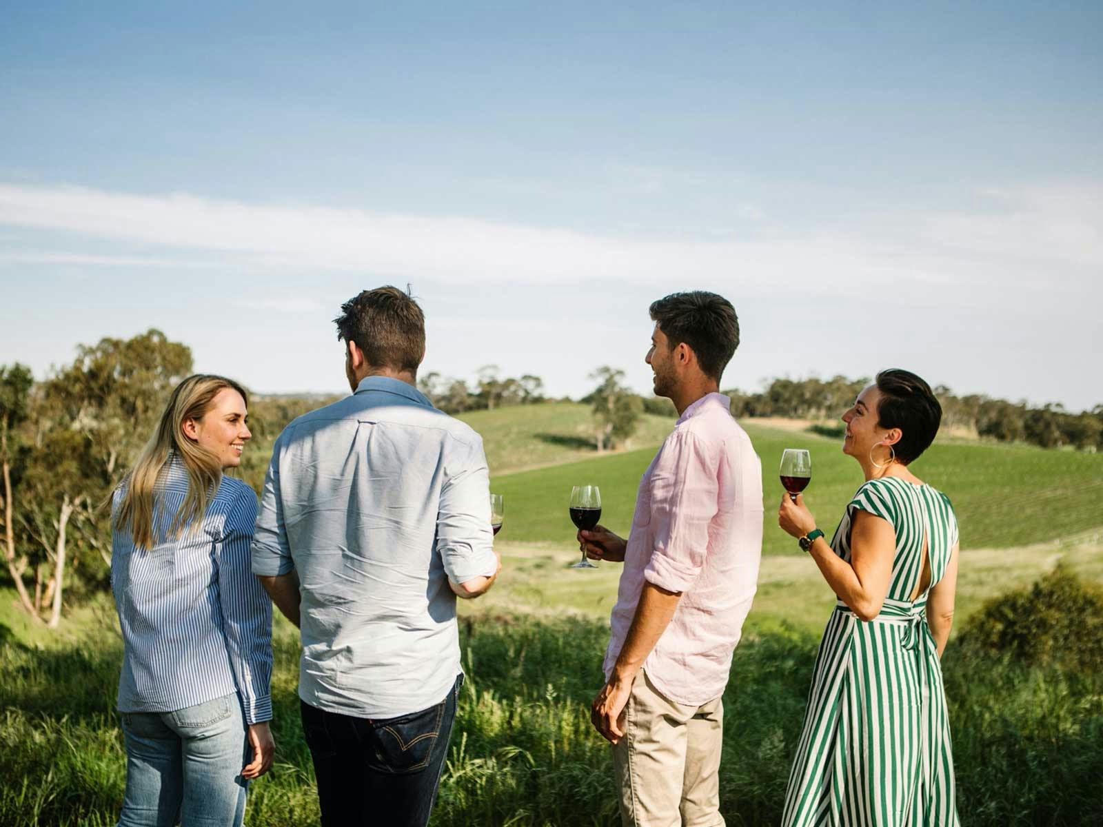 Wine Safari