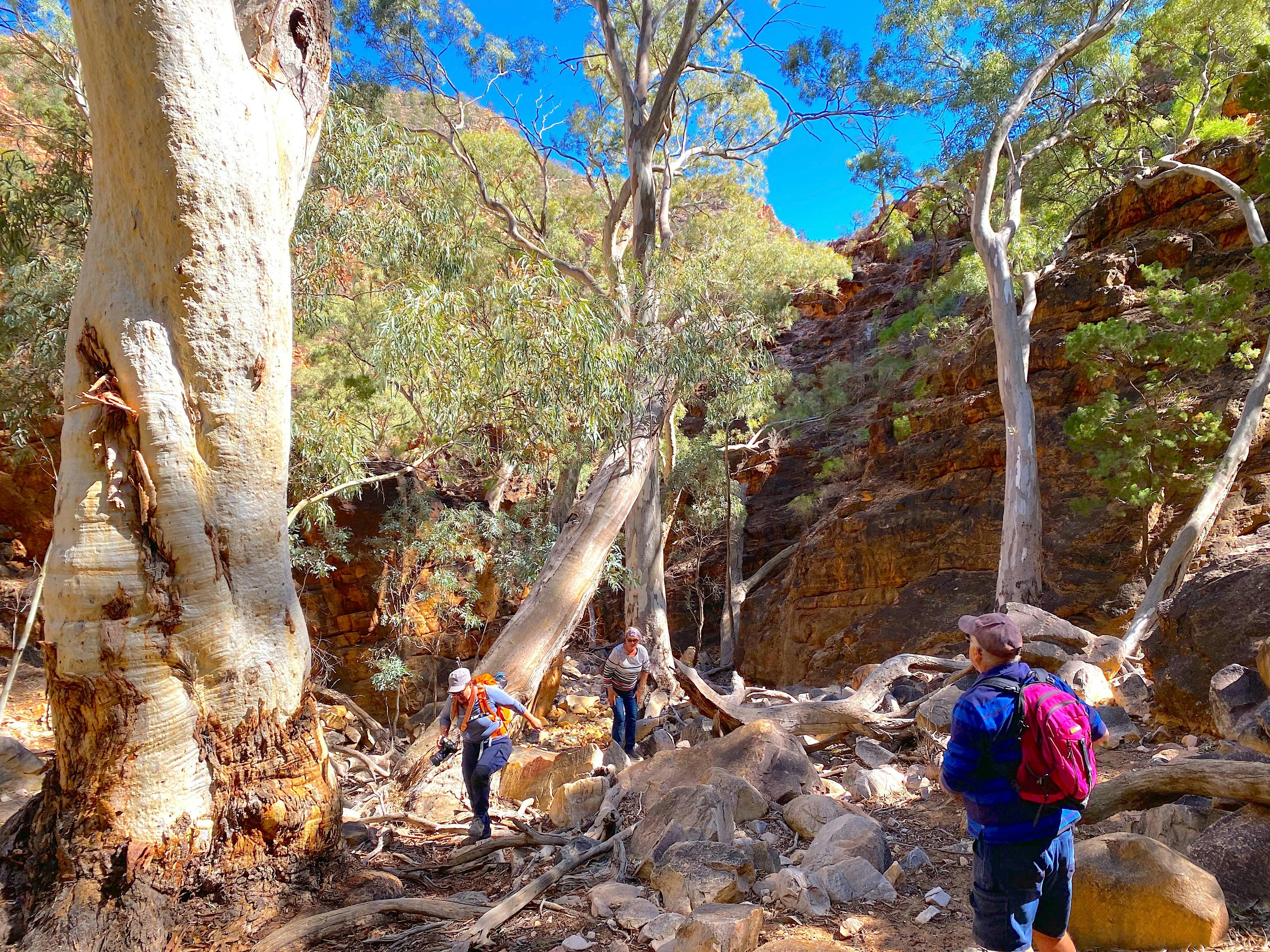 Edeowie Gorge
