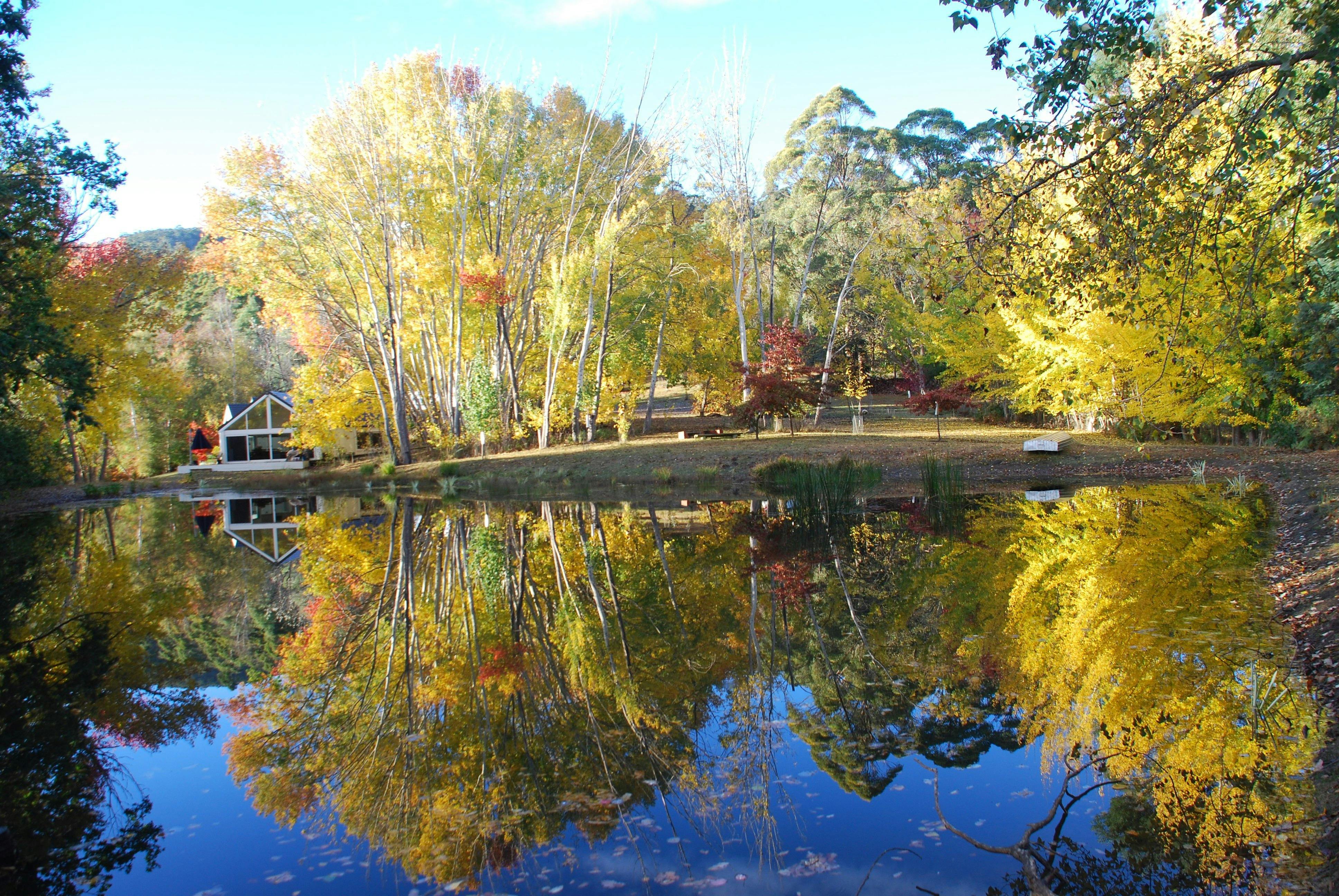 Lalla Flower Farm - Discover Tasmania