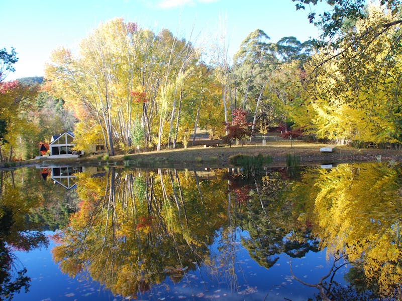 Lalla Flower Farm - Discover Tasmania