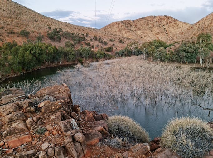 The Akurra Trail